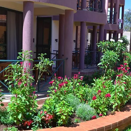Nile Village Hotel&Spa-3